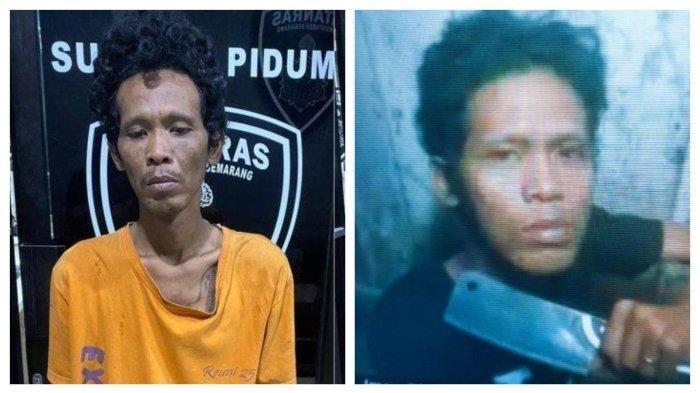 Polisi tabgkap, Seorang Pria Tega Habisi Nyawa Ibu Kandungnya, SEKILAS SUMUT