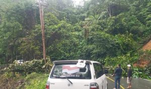 Jalan Padang-Pekanbaru Terputus Akibat Longsor di Limapuluh Kota (SEKILAS SUMUT)