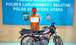 Polisi Ungkap Kasus Curanmor di Kota Pinang, Pelaku Berhasil Ditangkap';https://sekilassumut.biz.id/